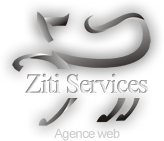 Ziti Services Agence web